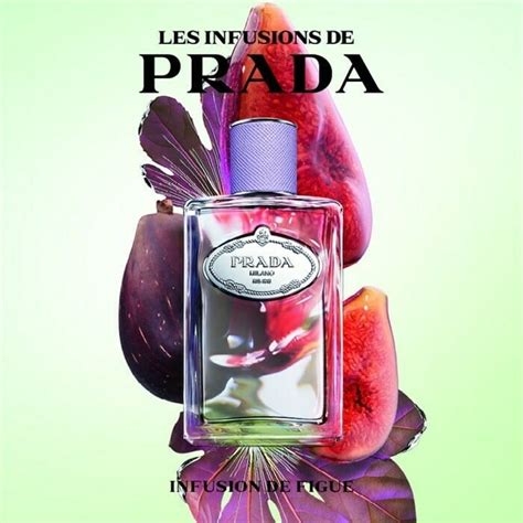 prada infusion de figue fragrantica|Infusion de Figue Prada for women and men .